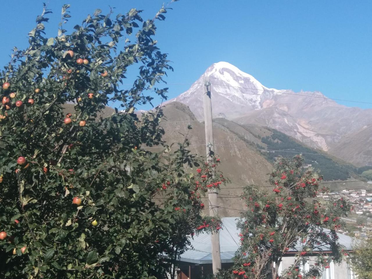 Guest House Sandro Kazbegi Exterior photo